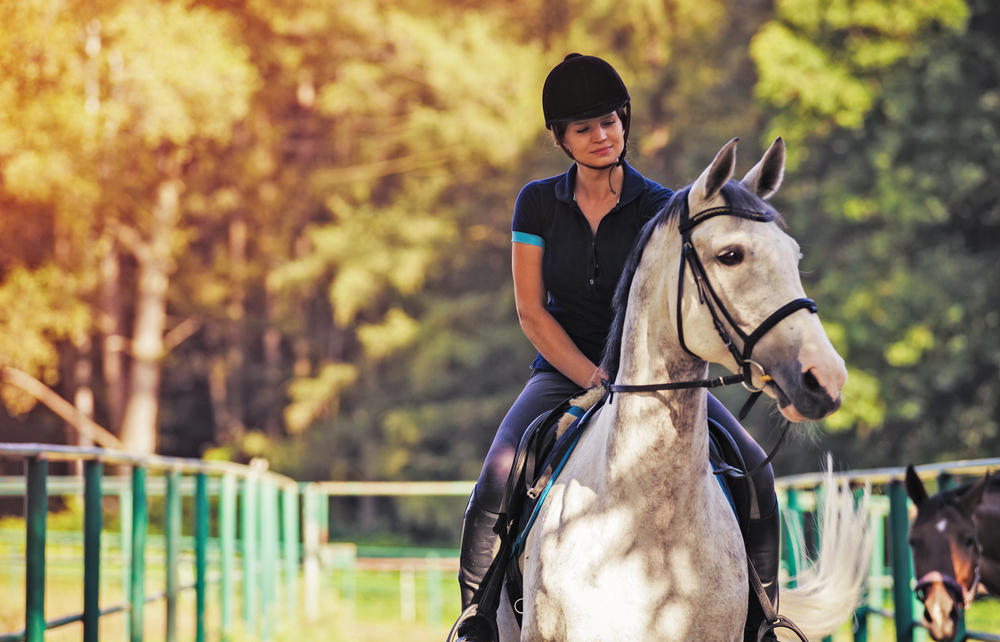 Marbella offers equine activities for horse lovers of all levels